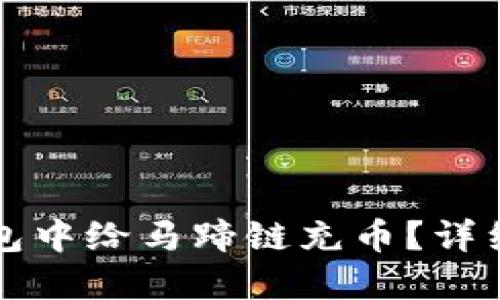 如何在TP钱包中给马蹄链充币？详细教程与技巧