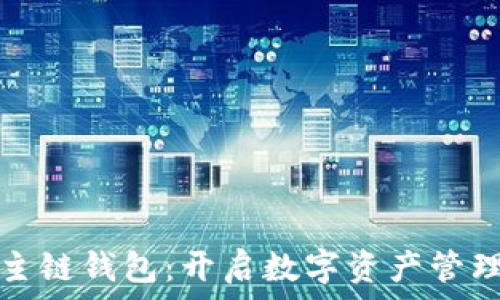 以太坊主链钱包:开启数字资产管理新篇章
