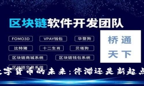 数字货币的未来:停滞还是新起点?