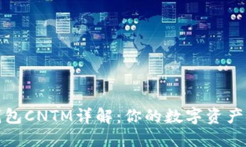 以太坊钱包CNTM详解：你的数字资产安全护航