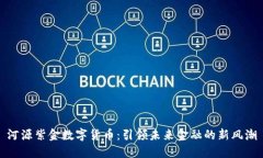 河源紫金数字货币：引领未来金融的新