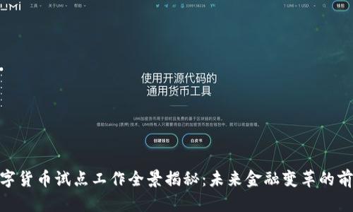 数字货币试点工作全景揭秘：未来金融变革的前奏