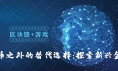 数字货币之外的替代选择：探索新兴金