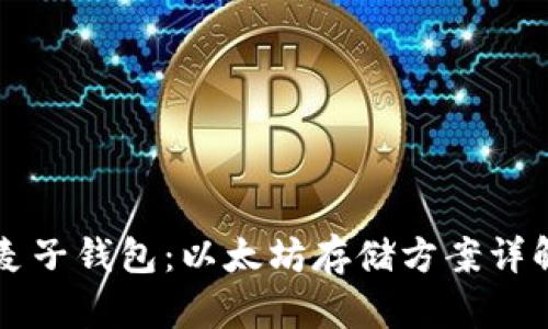麦子钱包：以太坊存储方案详解