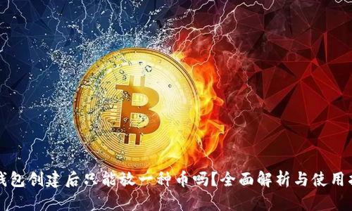TP钱包创建后只能放一种币吗?全面解析与使用指南