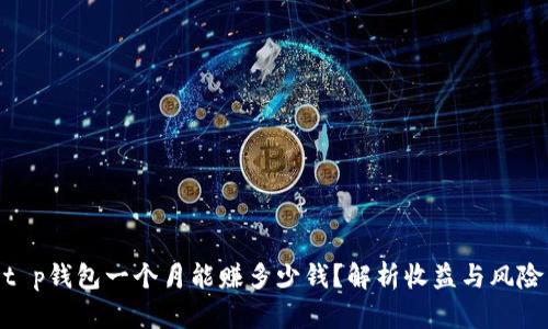 t p钱包一个月能赚多少钱?解析收益与风险