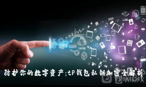 防护你的数字资产:tP钱包私钥加密全解析