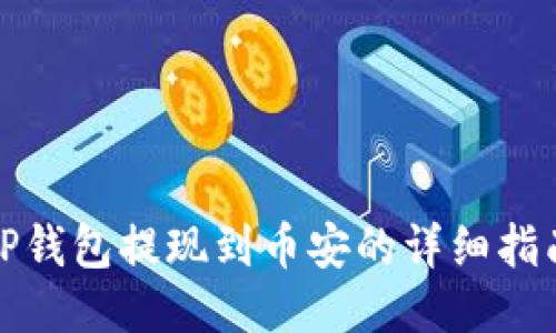 TP钱包提现到币安的详细指南