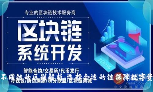 TP钱包不同链的区别解析:选择合适的链保障数字资产安全