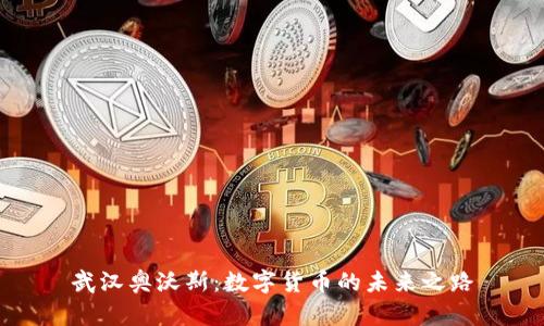 武汉奥沃斯：数字货币的未来之路