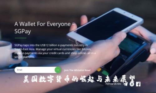 美国数字货币的崛起与未来展望