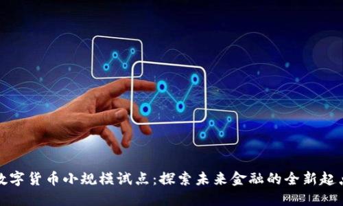 数字货币小规模试点:探索未来金融的全新起点