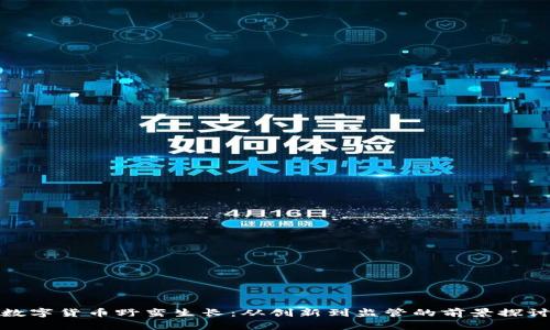 数字货币野蛮生长：从创新到监管的前景探讨
