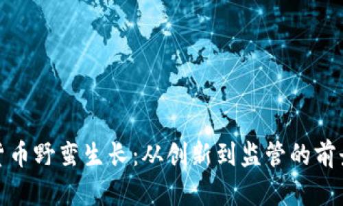 数字货币野蛮生长：从创新到监管的前景探讨