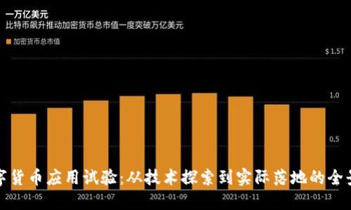 数字货币应用试验：从技术探索到实际落地的全景图