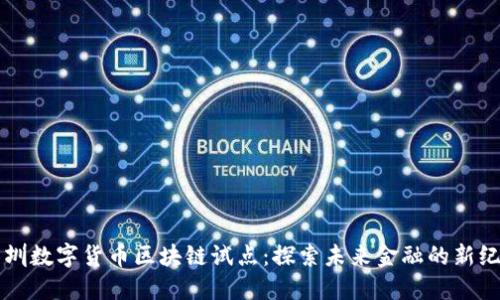 深圳数字货币区块链试点:探索未来金融的新纪元