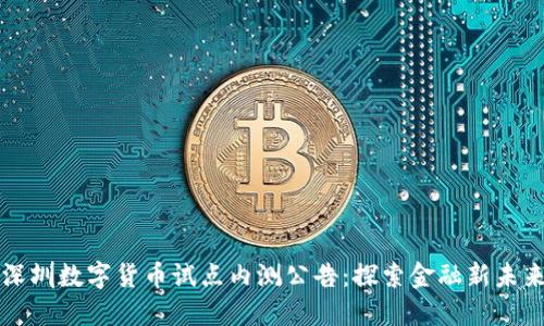 深圳数字货币试点内测公告:探索金融新未来