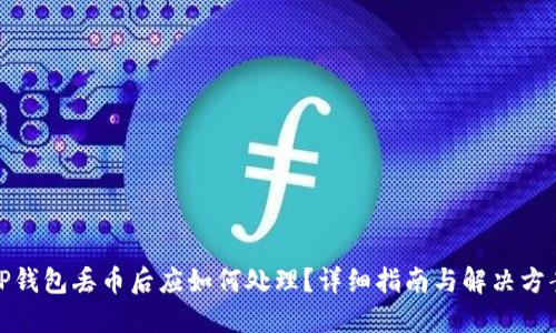 TP钱包丢币后应如何处理?详细指南与解决方案