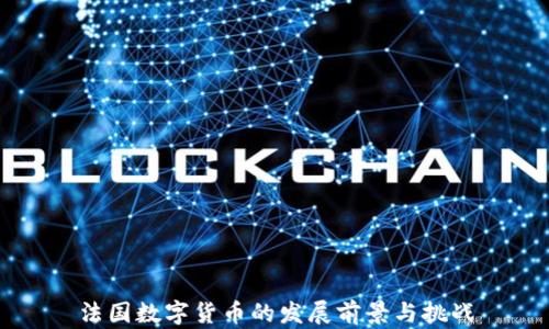 
法国数字货币的发展前景与挑战