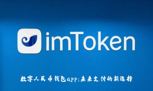 数字人民币钱包app：未来支付的新选择