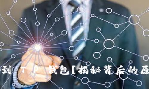 为何你搜索不到 T P 钱包？揭秘背后的原因与解决方案