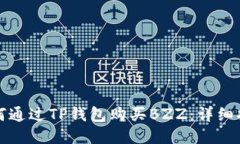 如何通过TP钱包购买BZZ：详细指南
