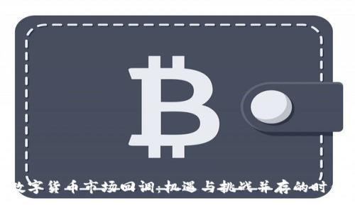 数字货币市场回调:机遇与挑战并存的时代