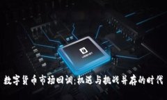 数字货币市场回调：机遇与挑战并存的