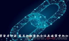 数字货币神器：真正的投资机会还是迷