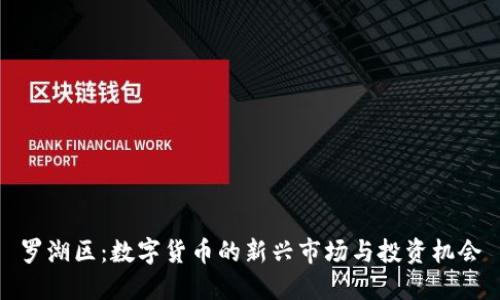 罗湖区：数字货币的新兴市场与投资机会