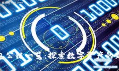 TP钱包公链一览：探索数字资产的新天