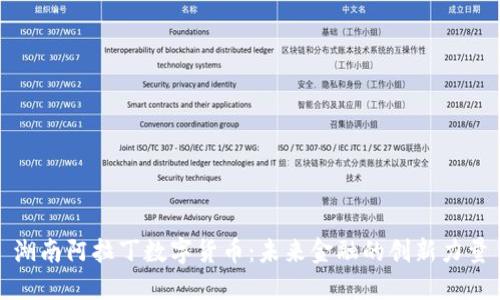 湖南阿拉丁数字货币：未来金融的创新力量