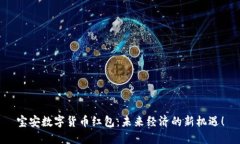 宝安数字货币红包：未来经济的新机遇