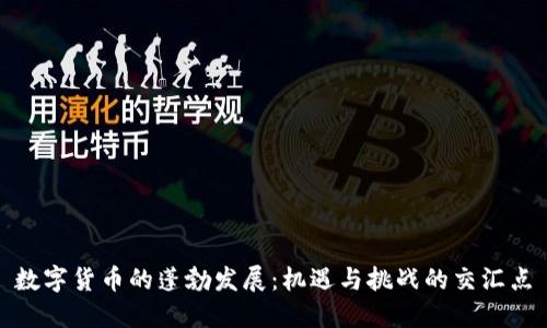 数字货币的蓬勃发展：机遇与挑战的交汇点