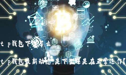 t p钱包下架了么

t p钱包最新动态：是下架还是在正常运作？