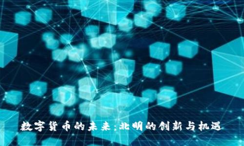 数字货币的未来：北明的创新与机遇