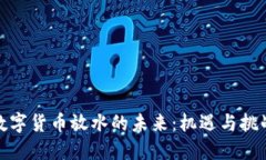 数字货币放水的未来：机遇与挑战