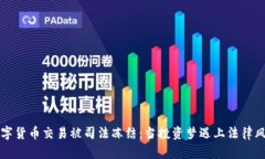 数字货币交易被司法冻结：当投资梦遇