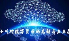 周小川对数字货币的见解与未来展望