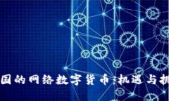 美国的网络数字货币：机遇与挑战