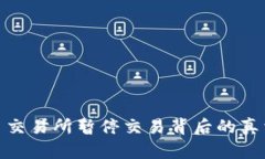 数字货币交易所暂停交易背后的真相与