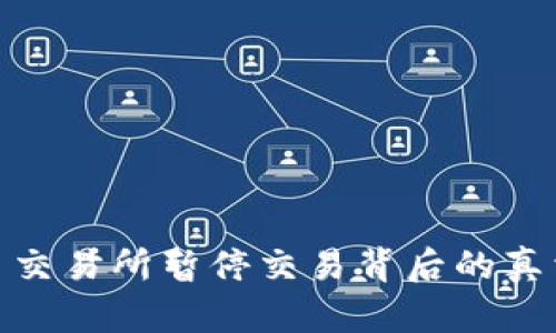 数字货币交易所暂停交易背后的真相与影响